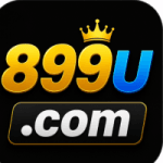 899U Game