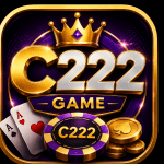 C222 Game